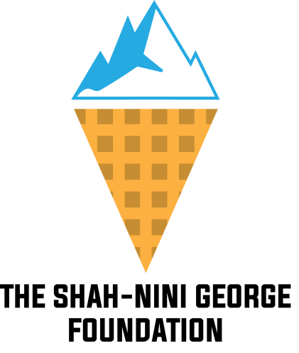 shah-nini-george-logo-large.png